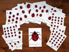 Výukové karty – Počty do 20 s beruškami