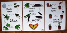 Sada 3 životních cyklů - stíny (PDF)