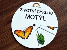 Životní cyklus v kolečku – Motýl