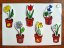 Jarní květiny v květináči