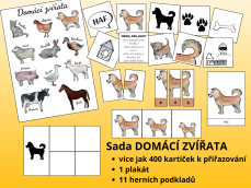 Domácí zvířata – sada 15 aktivit