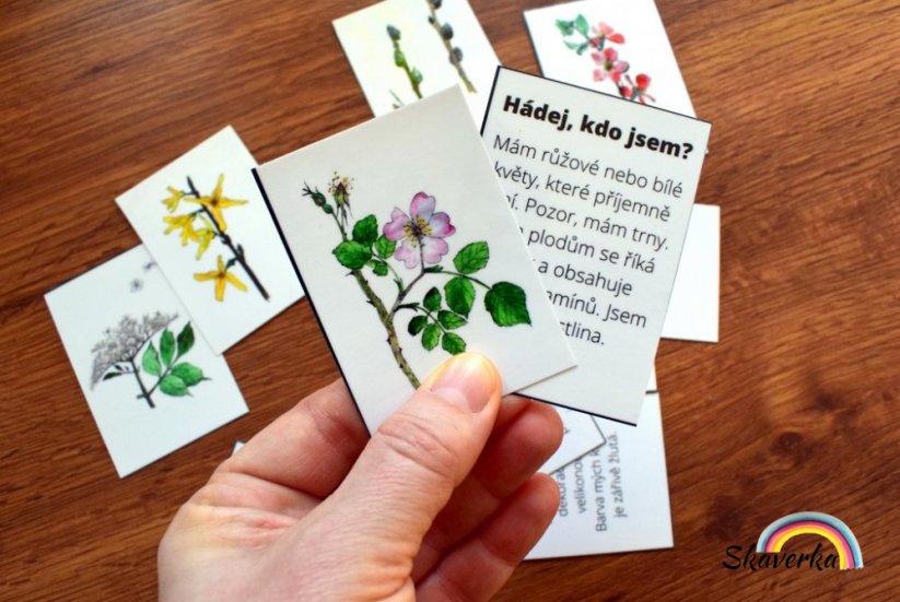 Hádej, kdo jsem - Jarní květiny a kvetoucí keře - Varianta: PDF