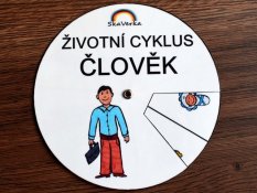 Životní cyklus v kolečku – Člověk