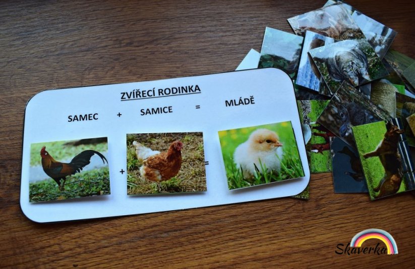 Zvířecí rodinky – farma