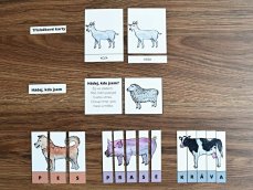 Domácí zvířata – sada 15 aktivit