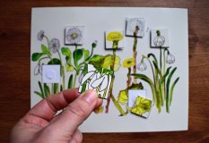Doplň detaily do obrázku - Jarní květiny