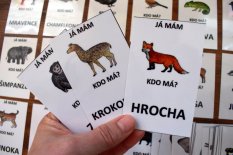Hra Já mám, kdo má? – Zvířata (obrázek + text)