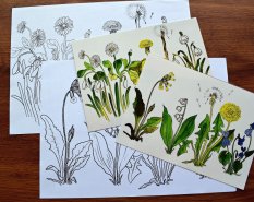 Poznej jarní květiny