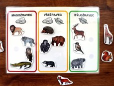 Masožravec, všežravec, býložravec