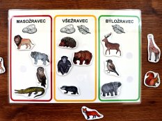 Masožravec, všežravec, býložravec