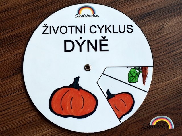Životní cyklus v kolečku – Dýně - Varianta: Zhotovené