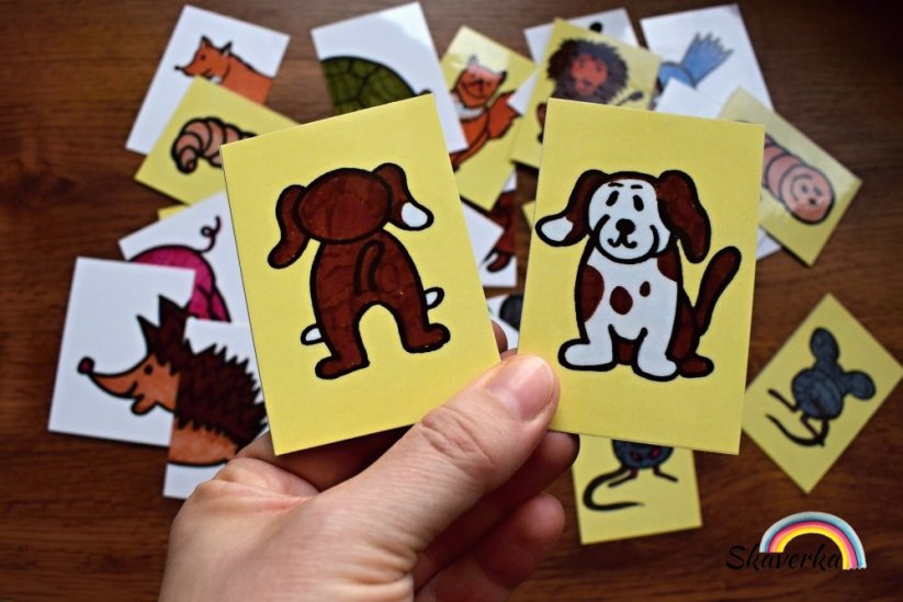 Zvířátka ze všech stran