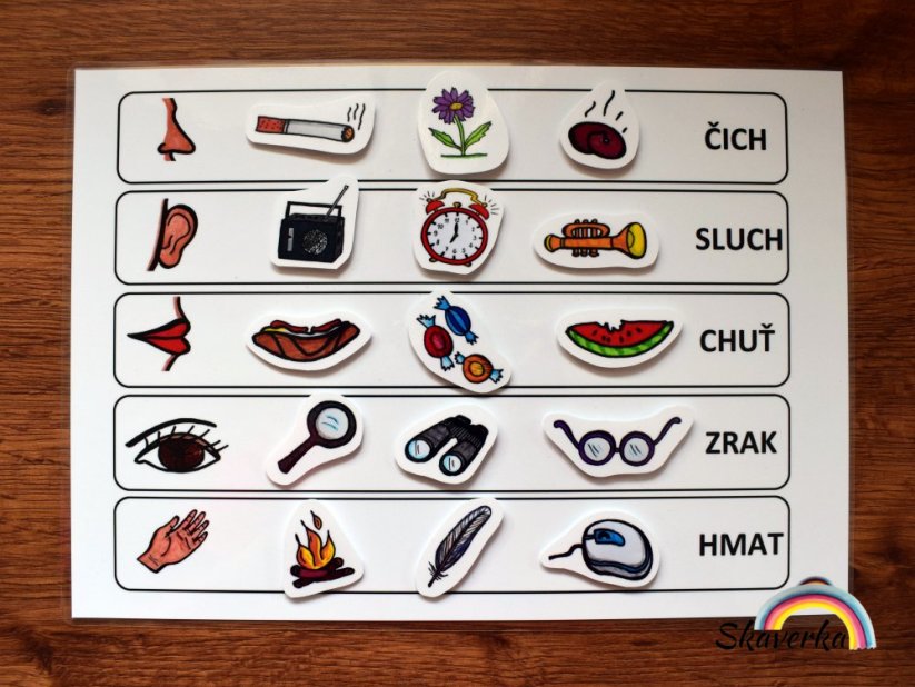 Poznej lidské tělo – Smysly