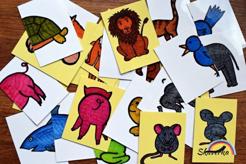 Zvířátka ze všech stran