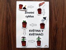 Životní cyklus květiny – stíny