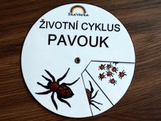 Životní cyklus v kolečku – Pavouk