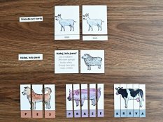 Domácí zvířata – sada 15 aktivit