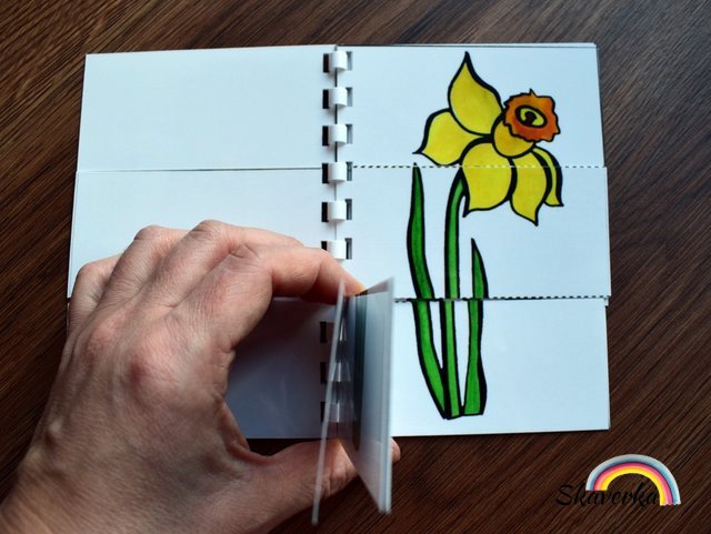 Skládanková kniha - Květiny