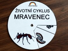 Životní cyklus v kolečku – Mravenec