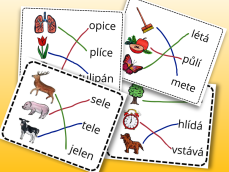 Spojovačky – spoj obrázek s textem