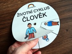 Životní cyklus v kolečku – Člověk