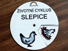 Životní cyklus v kolečku – Slepice