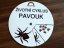 Životní cyklus v kolečku – Pavouk