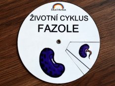 Životní cyklus v kolečku - Fazole
