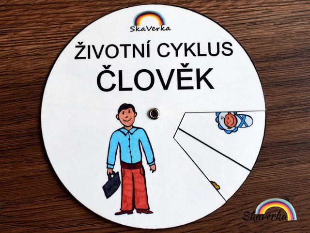 Životní cyklus v kolečku – Člověk - Varianta: PDF