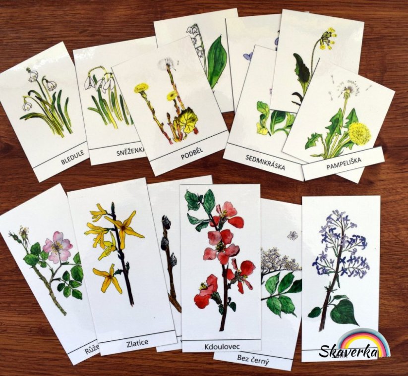 Výukové karty - Kvetoucí keře (pdf)