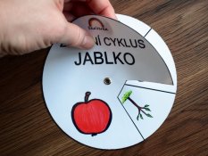 Životní cyklus v kolečku – Jablko