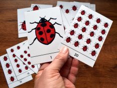 Výukové karty – Počty do 20 s beruškami