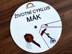 Životní cyklus v kolečku – Mák