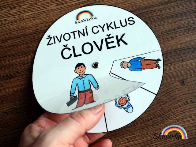 Životní cyklus v kolečku – Člověk - Varianta: PDF