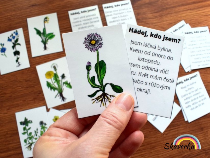Hádej, kdo jsem - Jarní květiny a kvetoucí keře - Varianta: PDF