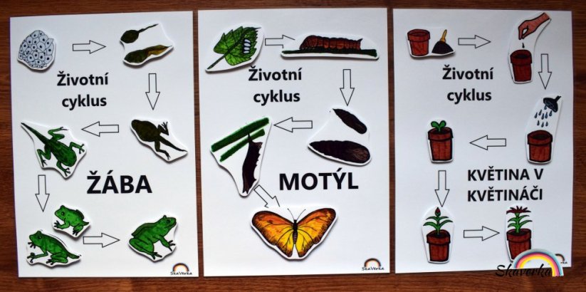 Sada 3 životních cyklů - stíny (PDF)