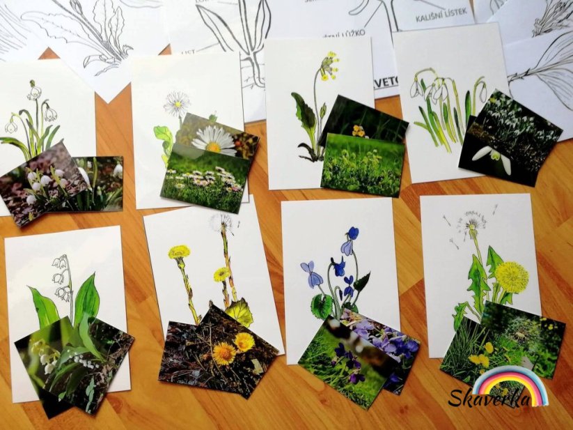 Poznej jarní květiny