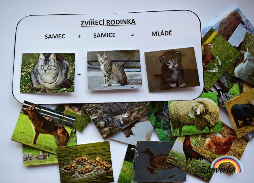 Zvířecí rodinky – farma