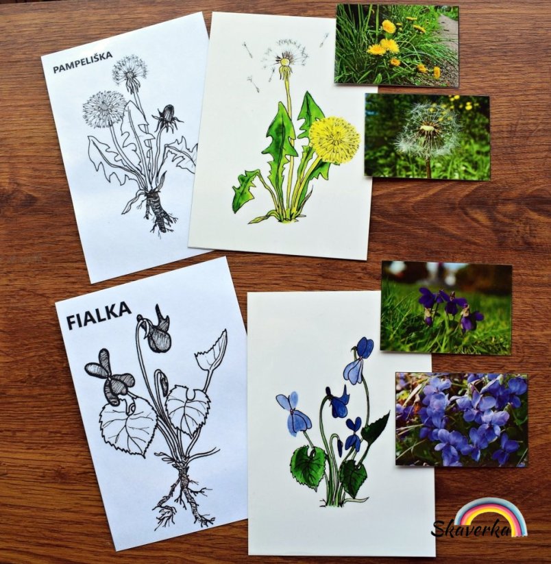 Poznej jarní květiny