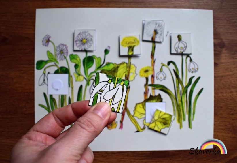 Doplň detaily do obrázku - Jarní květiny