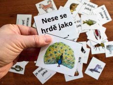 Slovní přirovnání – Zvířata