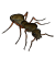 Hmyz