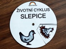 Životní cyklus v kolečku – Slepice