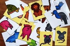 Zvířátka ze všech stran