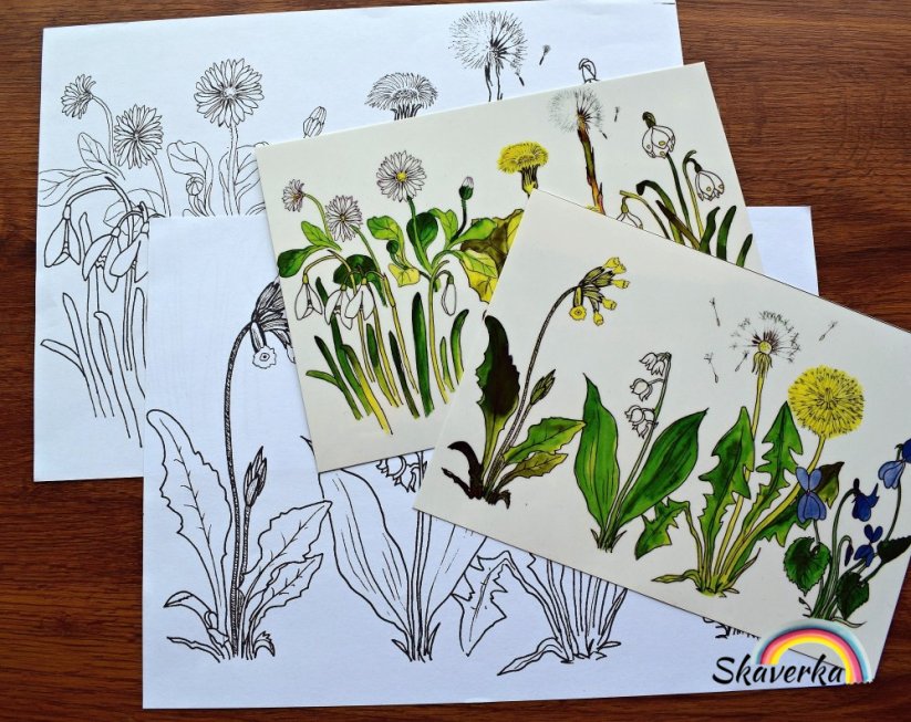 Poznej jarní květiny