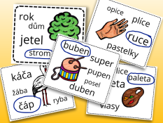 Vyber správné slovo