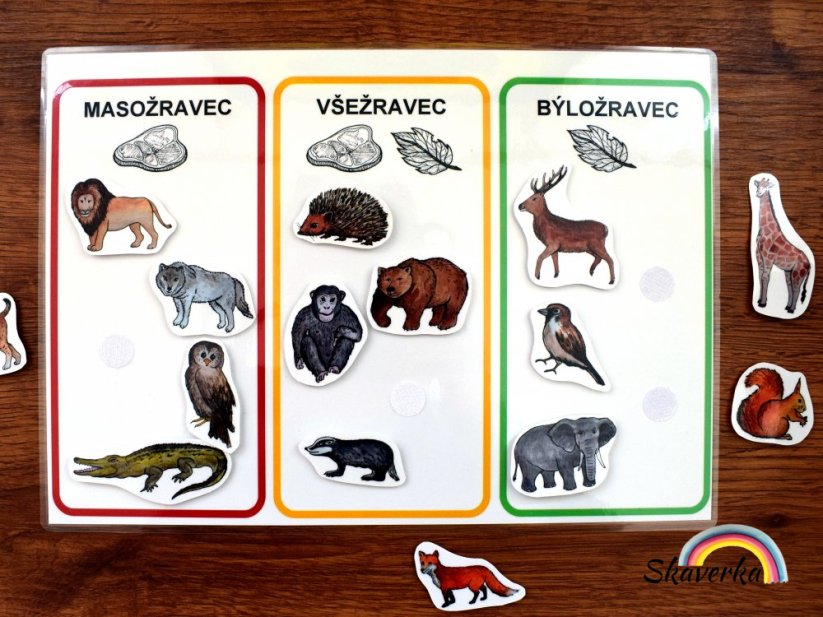 Masožravec, všežravec, býložravec