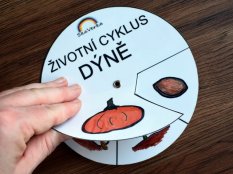 Životní cyklus v kolečku – Dýně