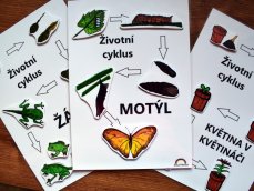 Sada 3 životních cyklů - stíny (PDF)