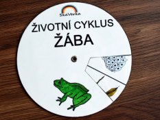 Životní cyklus v kolečku – Žába